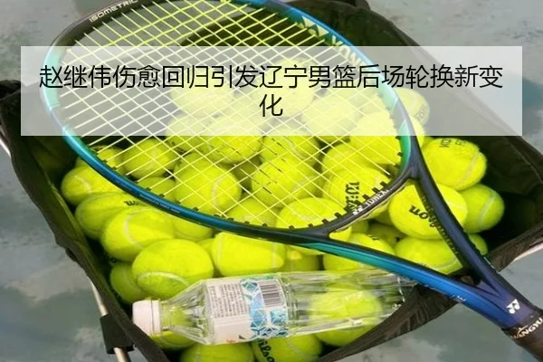 赵继伟伤愈回归引发辽宁男篮后场轮换新变化
